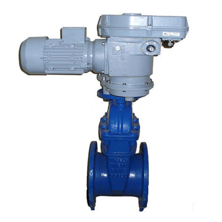 {$name}